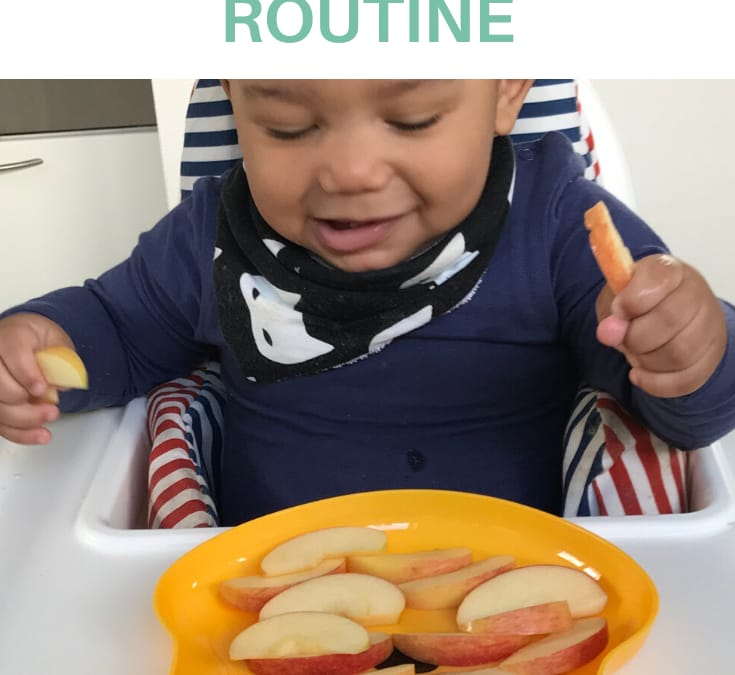 9-12 Months Baby Schedule