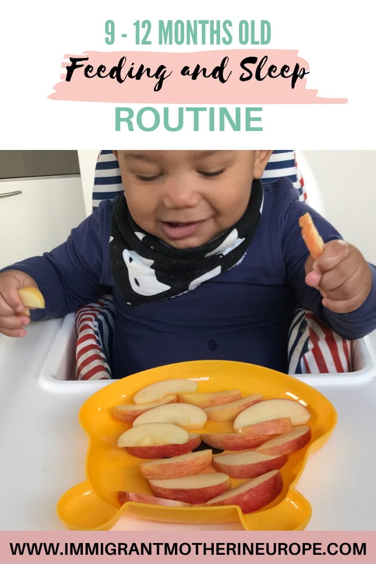 9-12 Months Baby Schedule